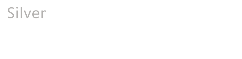 MS-Partner